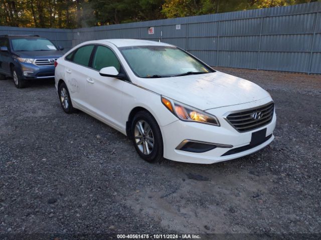 HYUNDAI SONATA 2017 5npe24af1hh465430