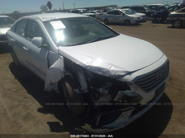 HYUNDAI SONATA 2017 5npe24af1hh487153