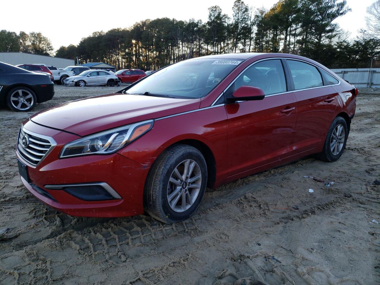 HYUNDAI SONATA 2017 5npe24af1hh487413