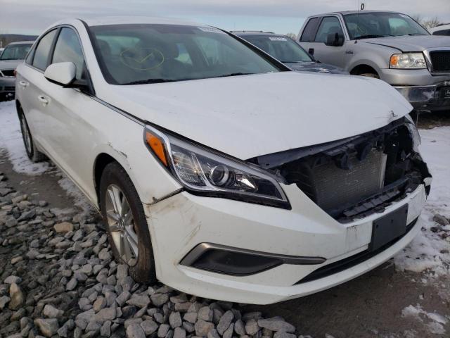 HYUNDAI SONATA SE 2017 5npe24af1hh494376