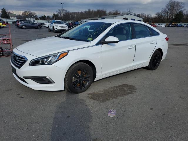 HYUNDAI SONATA 2017 5npe24af1hh494927