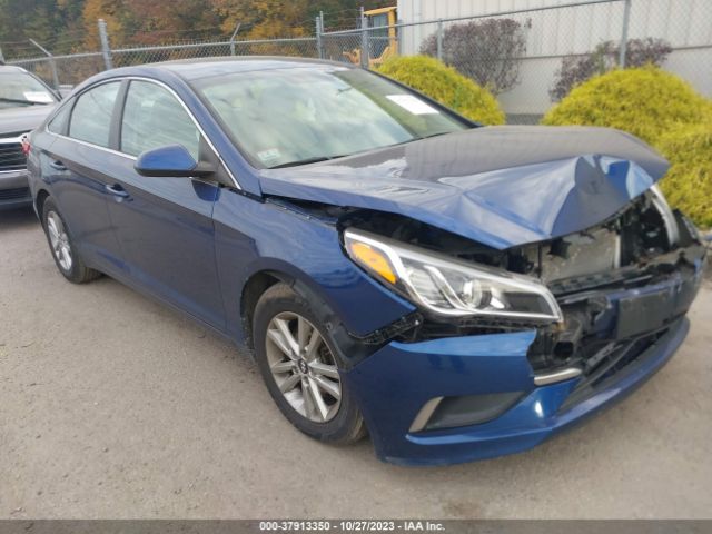 HYUNDAI SONATA 2017 5npe24af1hh505666