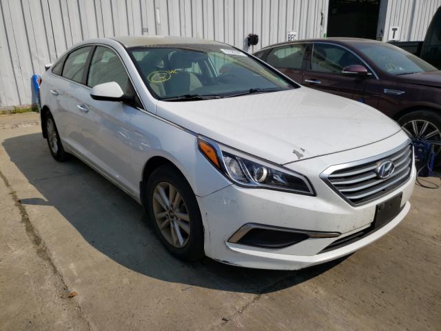 HYUNDAI NULL 2017 5npe24af1hh509667