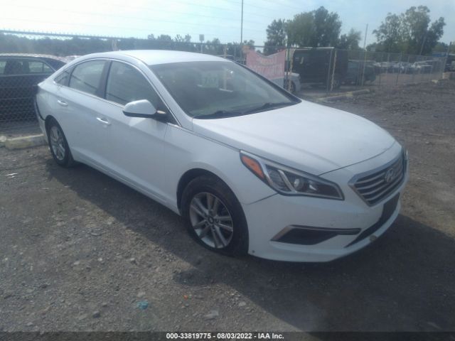 HYUNDAI SONATA 2017 5npe24af1hh513847