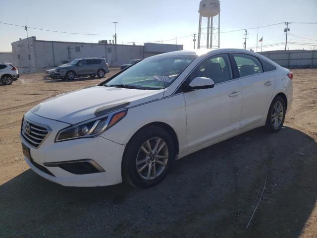 HYUNDAI SONATA 2017 5npe24af1hh515484