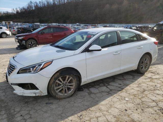 HYUNDAI SONATA 2017 5npe24af1hh515761