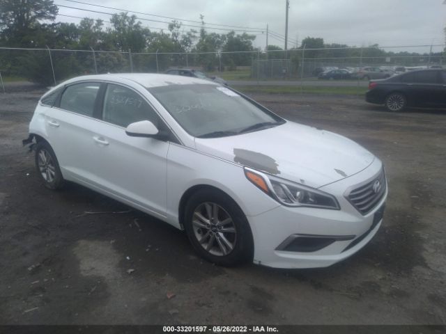 HYUNDAI SONATA 2017 5npe24af1hh518241