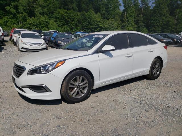 HYUNDAI SONATA SE 2017 5npe24af1hh519177