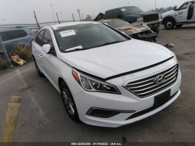 HYUNDAI SONATA 2017 5npe24af1hh528686