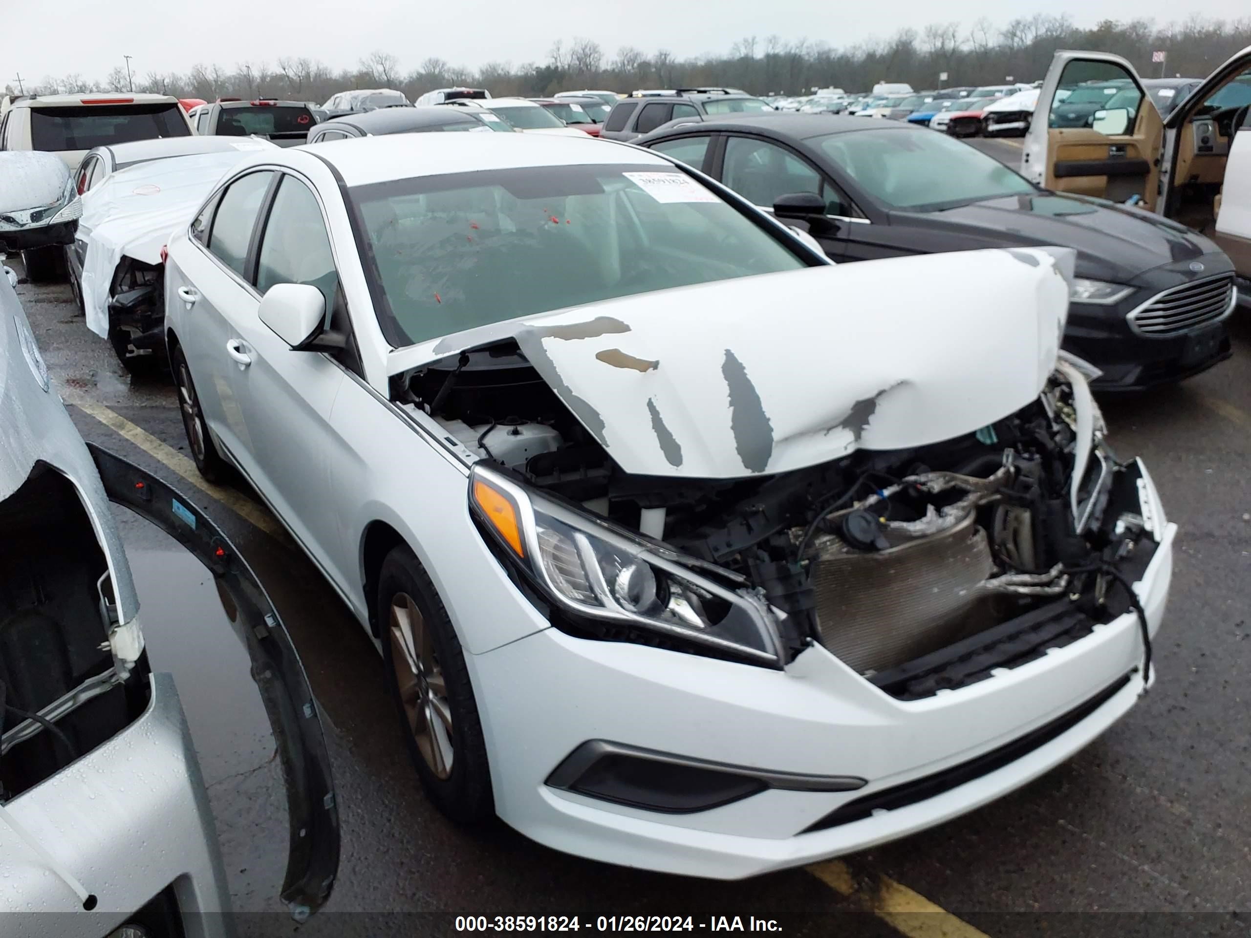 HYUNDAI SONATA 2017 5npe24af1hh534648