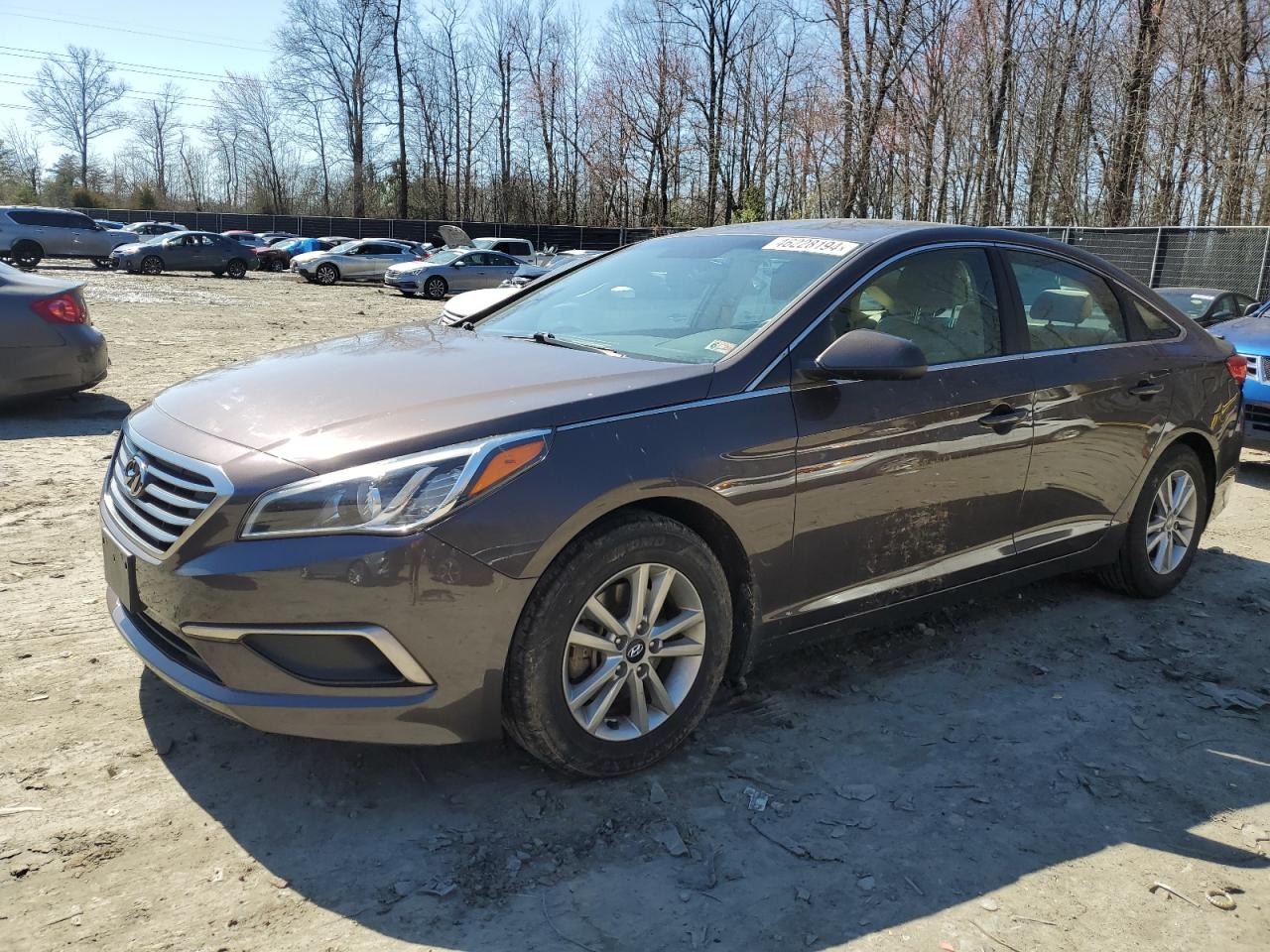 HYUNDAI SONATA 2017 5npe24af1hh545195