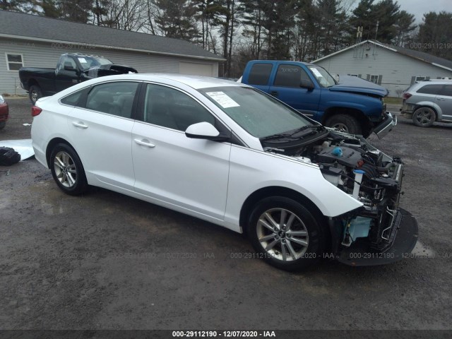 HYUNDAI SONATA 2017 5npe24af1hh552499