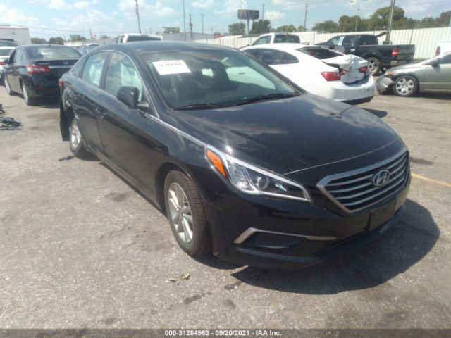 HYUNDAI SONATA 2017 5npe24af1hh554544