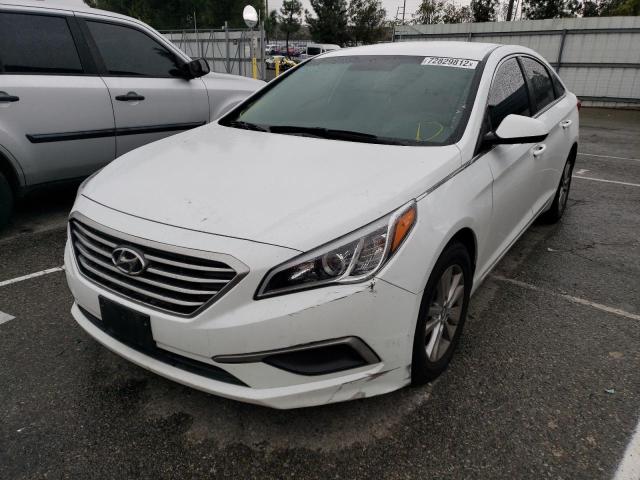 HYUNDAI SONATA SE 2017 5npe24af1hh559369