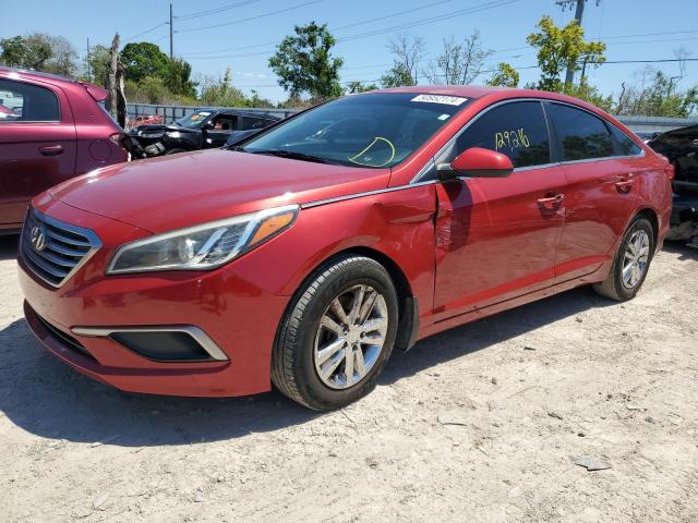 HYUNDAI SONATA 2017 5npe24af1hh559503