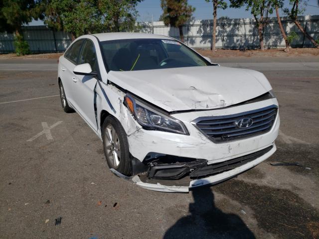 HYUNDAI SONATA SE 2017 5npe24af1hh567181