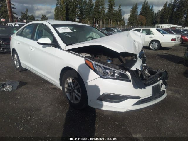 HYUNDAI SONATA 2017 5npe24af1hh570601