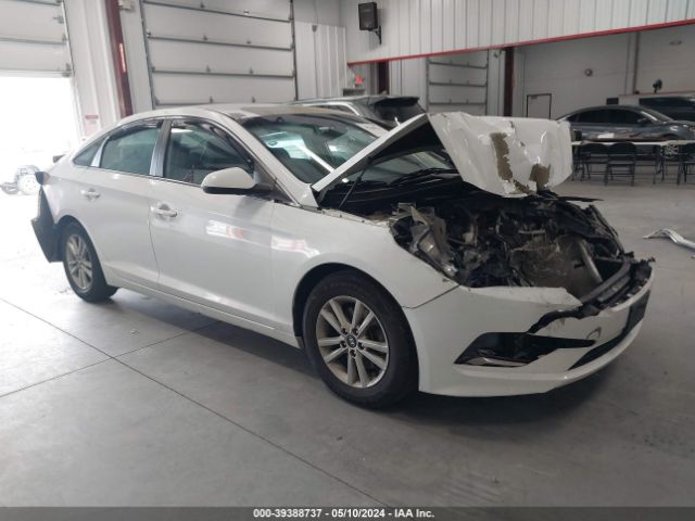 HYUNDAI SONATA 2017 5npe24af1hh570615