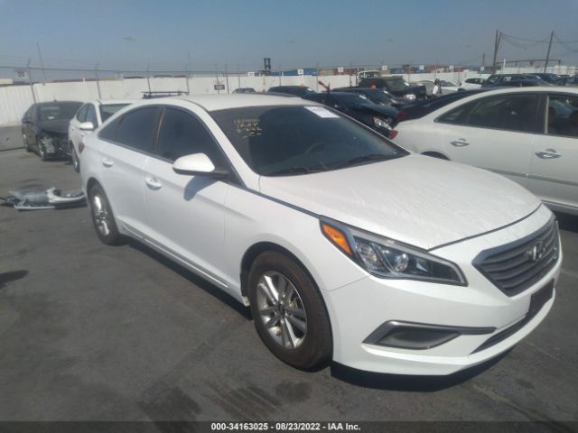 HYUNDAI SONATA 2017 5npe24af1hh573515