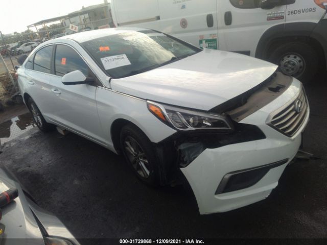 HYUNDAI SONATA 2017 5npe24af1hh591707