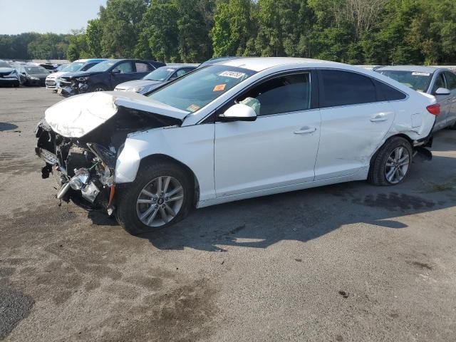 HYUNDAI SONATA 2017 5npe24af1hh594915