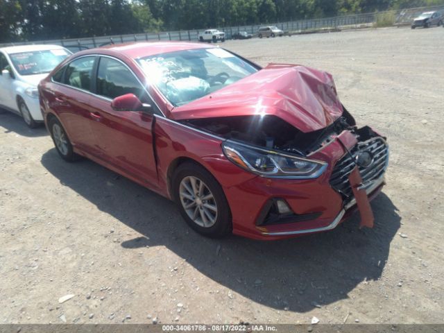 HYUNDAI SONATA 2018 5npe24af1jh635842