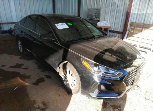 HYUNDAI SONATA 2018 5npe24af1jh676908