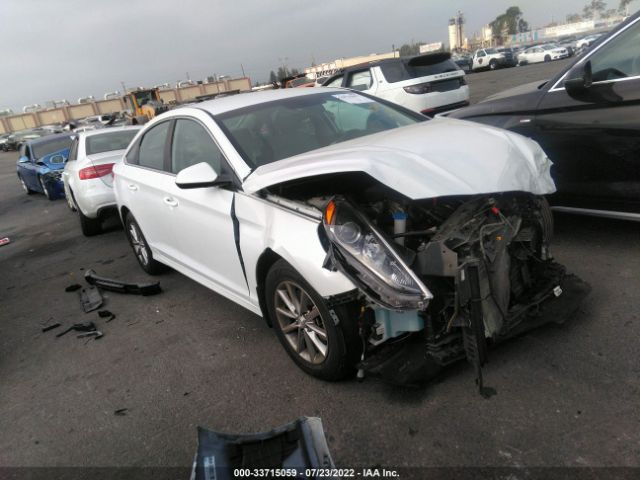 HYUNDAI SONATA 2018 5npe24af1jh681431