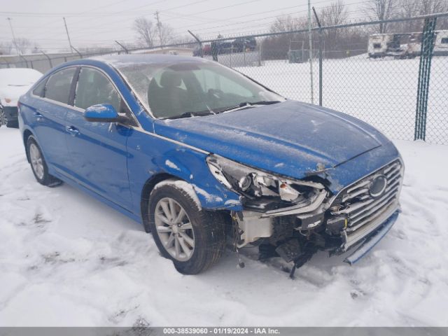 HYUNDAI SONATA 2018 5npe24af1jh688332