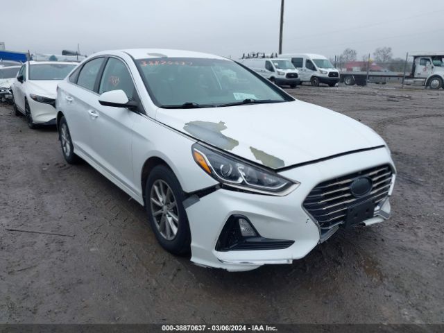 HYUNDAI SONATA 2018 5npe24af1jh699203