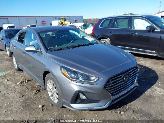 HYUNDAI SONATA 2018 5npe24af1jh704285