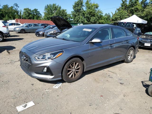 HYUNDAI SONATA 2018 5npe24af1jh705596