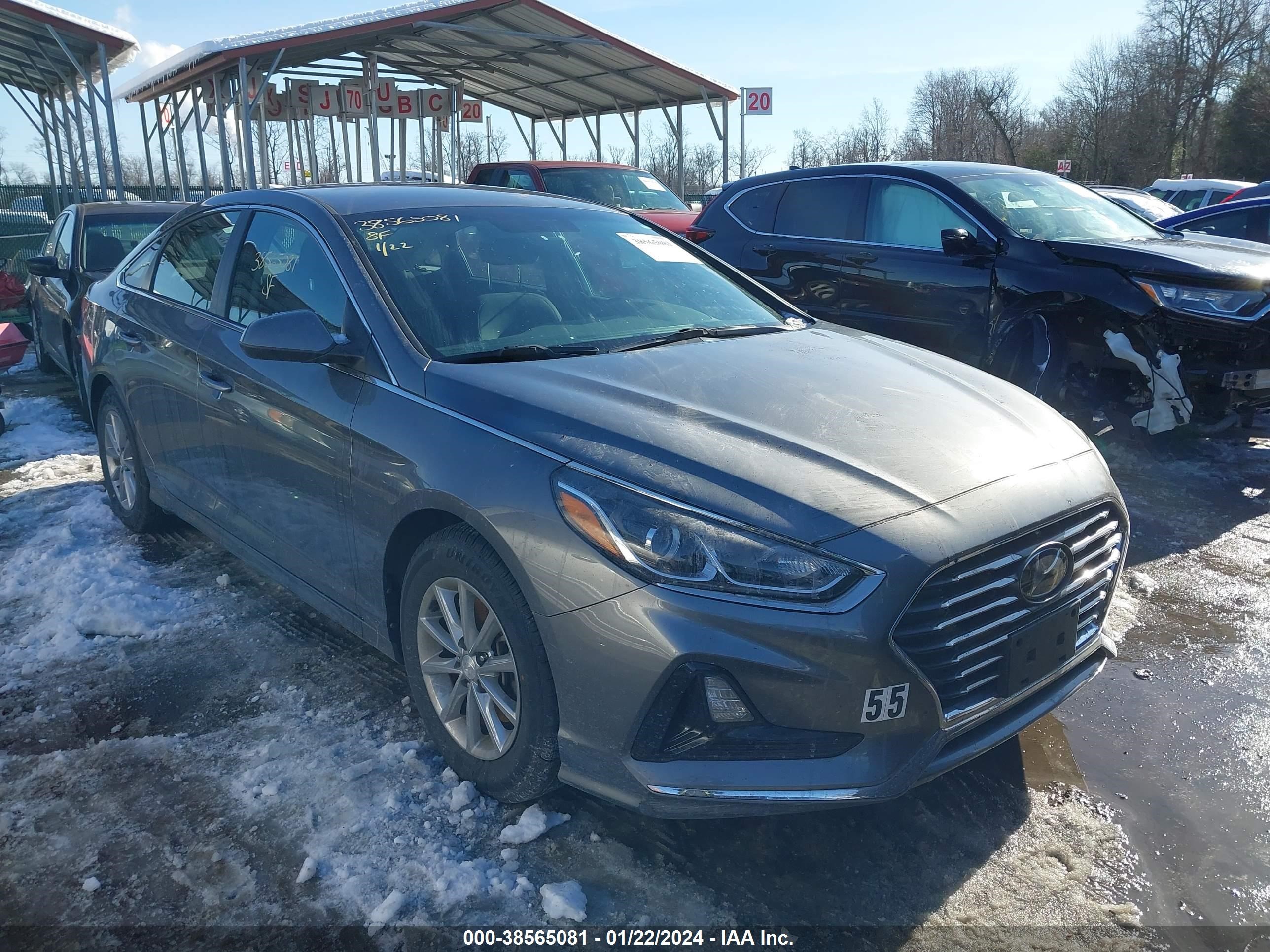 HYUNDAI SONATA 2019 5npe24af1kh729771