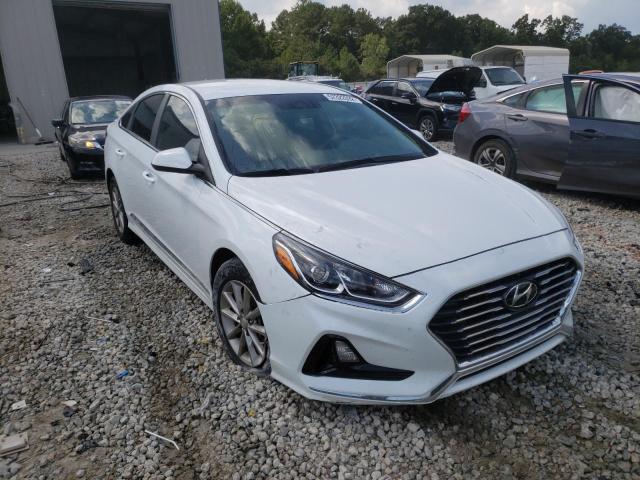 HYUNDAI SONATA SE 2019 5npe24af1kh734369