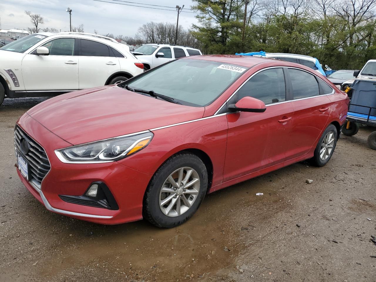 HYUNDAI SONATA 2019 5npe24af1kh736316