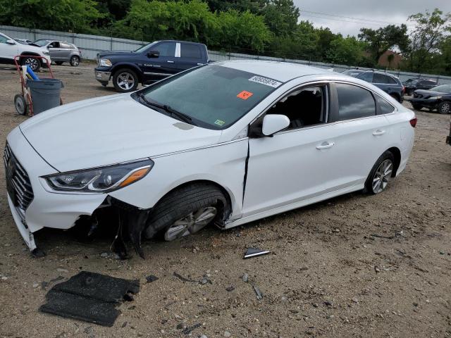 HYUNDAI SONATA 2019 5npe24af1kh737336