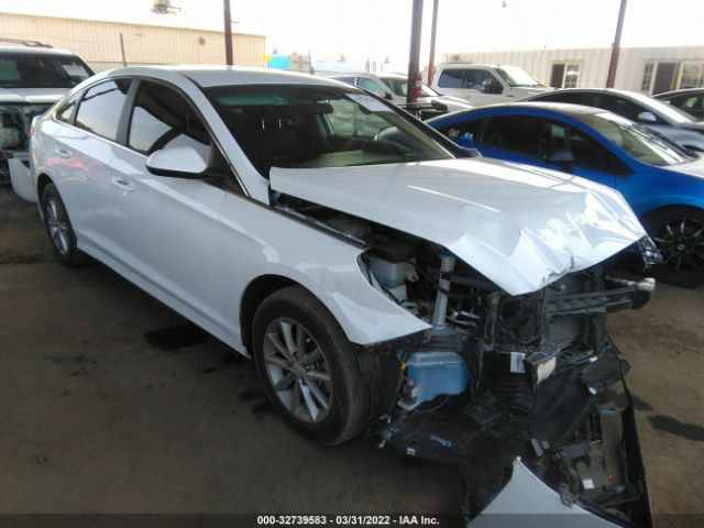 HYUNDAI SONATA 2019 5npe24af1kh738907