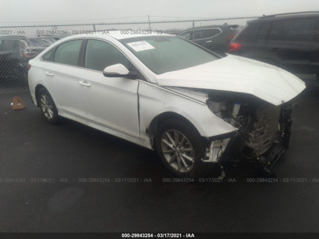 HYUNDAI SONATA 2019 5npe24af1kh741726