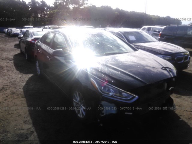 HYUNDAI SONATA 2019 5npe24af1kh744898