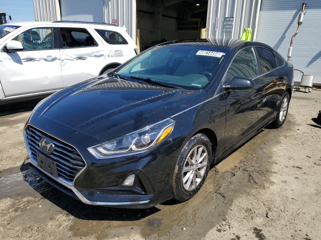 HYUNDAI SONATA 2019 5npe24af1kh745162