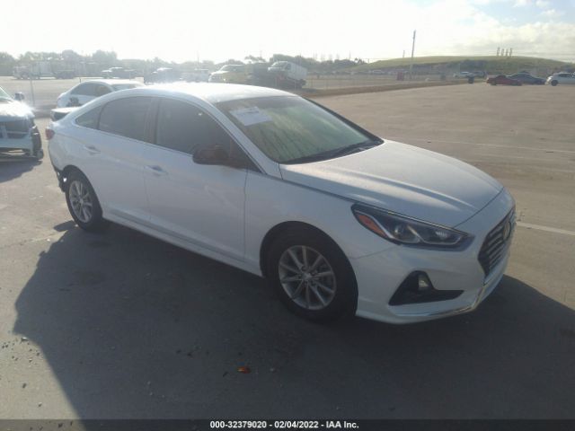 HYUNDAI SONATA 2019 5npe24af1kh750829