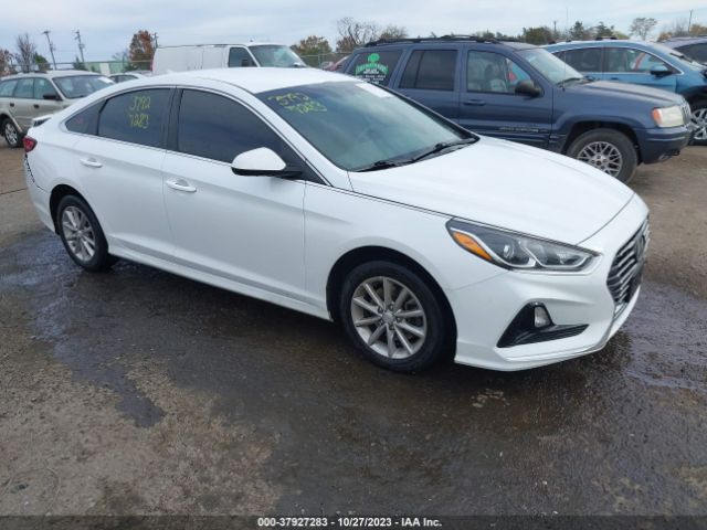 HYUNDAI SONATA 2019 5npe24af1kh756453