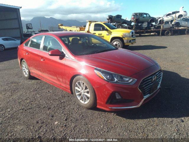 HYUNDAI SONATA 2019 5npe24af1kh758820