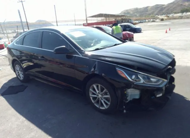 HYUNDAI SONATA 2019 5npe24af1kh764150