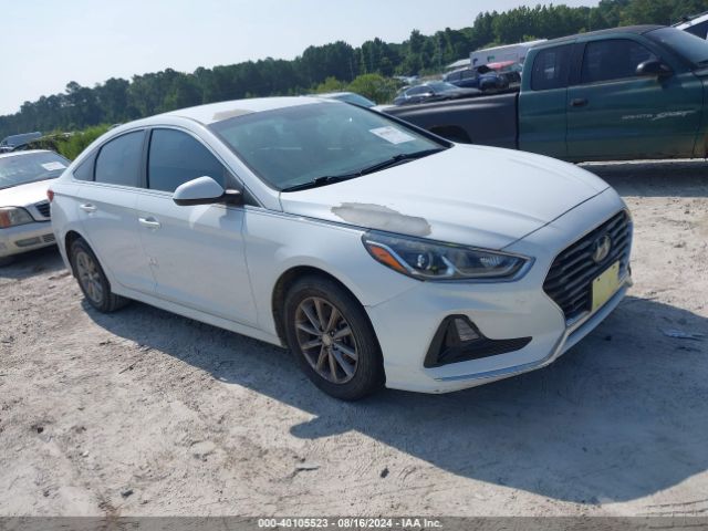 HYUNDAI SONATA 2019 5npe24af1kh764312