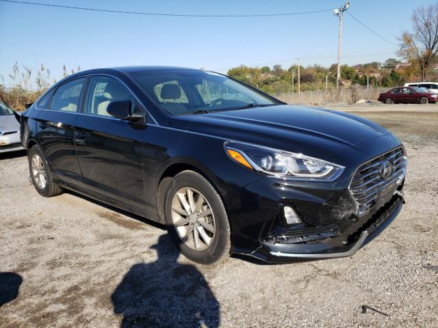 HYUNDAI SONATA SE 2019 5npe24af1kh765668