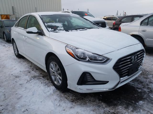 HYUNDAI SONATA SE 2019 5npe24af1kh769039