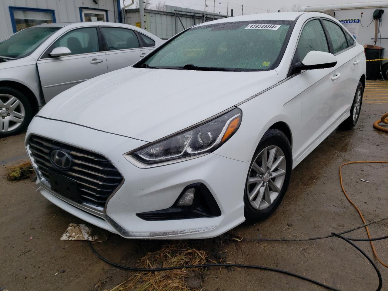 HYUNDAI SONATA 2019 5npe24af1kh774225