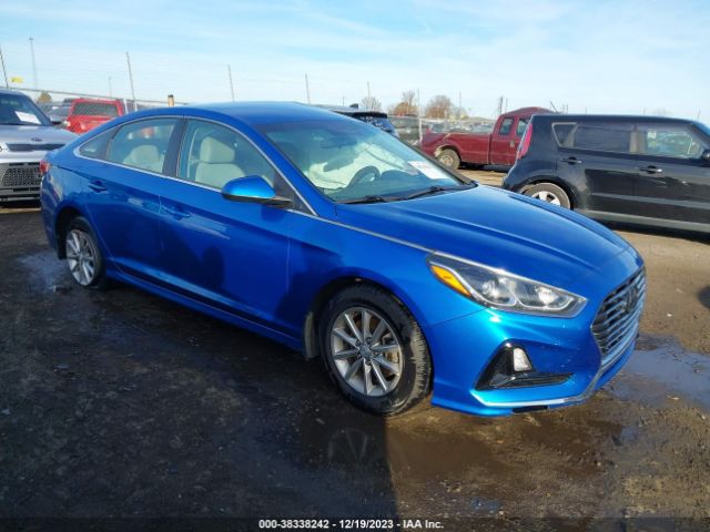 HYUNDAI SONATA 2019 5npe24af1kh779778