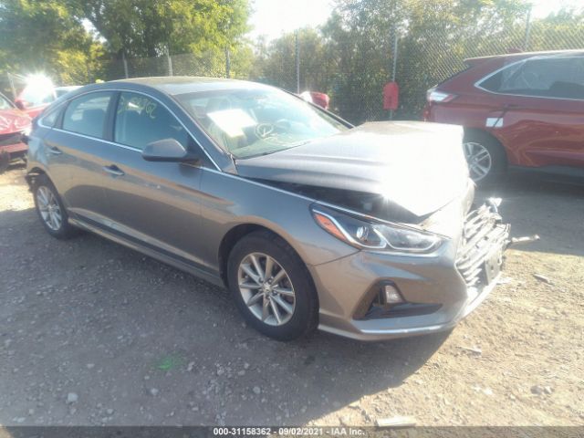 HYUNDAI SONATA 2019 5npe24af1kh781613